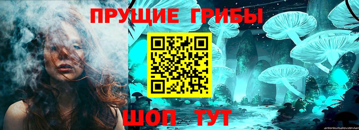 Набережные Челны  Псилоцибиновые грибы Psilocybe  Вход с VPN 